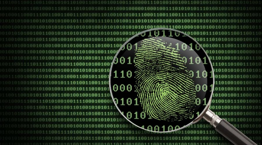 Qué es un informe 'forensic' y para qué sirve